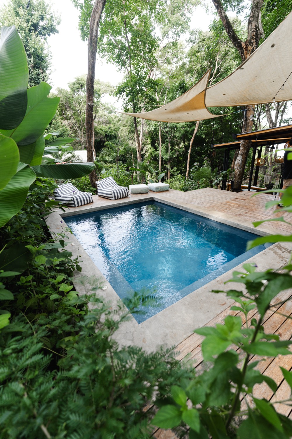 A blue plunge pool seen from above, surrounded by jungle, decking and a shade sail